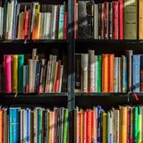 the subjective science of age appropriate literature